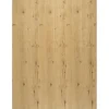 Regalboden Eiche Astig 120 cm x 50 cm x 1,6 cm