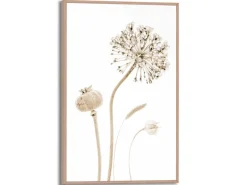 Reinders Gerahmtes Bild Trockenblumen für Wohnzimmer 30 cm x 20 cm Beige
