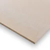 Rigips Rigidur Gipsfaserplatte 12,5 mm x 1500 mm x 1000 mm vorgrundiert