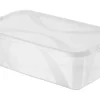 Rotho Clear Box Arco Lady Shoe Transparent 5 l