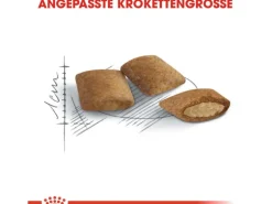 Royal Canin Ageing 12+ Trockenfutter für ältere Katzen 2 kg