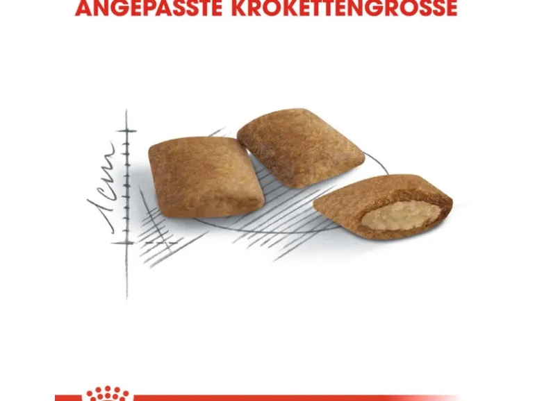 Royal Canin Ageing 12+ Trockenfutter für ältere Katzen 2 kg