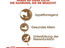 Royal Canin Ageing 12+ Trockenfutter für ältere Katzen 0,4 kg