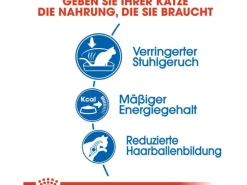 Royal Canin Indoor 27 Trockenfutter für Wohnungskatzen 4 kg