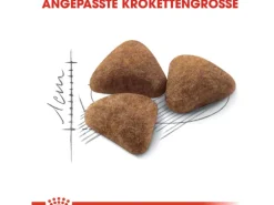 Royal Canin Indoor 27 Trockenfutter für Wohnungskatzen 4 kg