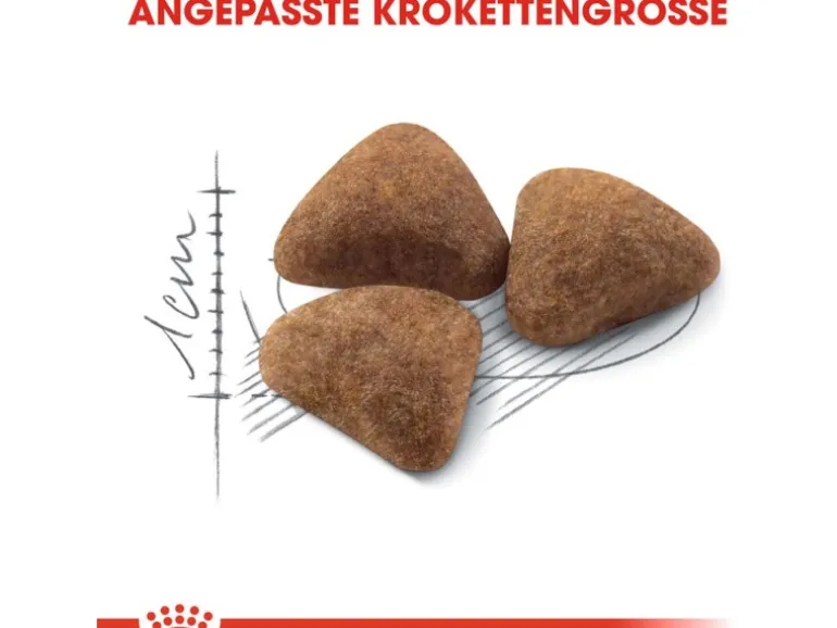 Royal Canin Indoor 27 Trockenfutter für Wohnungskatzen 4 kg