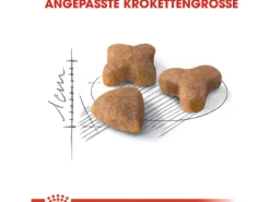 Royal Canin Sensible Trockenfutter Sensible Katzen 4 kg