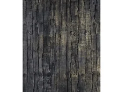 Sanders & Sanders Fototapete Holz Schwarz und Gold 200 x 250 cm 611961
