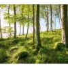 Sanders & Sanders Fototapete Landschaft Grün und Blau 450 x 280 cm 612683