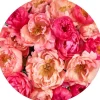 Sanders & Sanders Selbstklebende Runde Tapete Blumen Rosa Ø 125 cm 611805