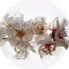 Sanders & Sanders Selbstklebende Runde Tapete Blumen Weiß und Rosa Ø 140 cm 601130