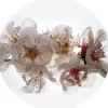 Sanders & Sanders Selbstklebende Runde Tapete Blumen Weiß und Rosa Ø 70 cm 601093