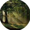 Sanders & Sanders Selbstklebende Runde Tapete Bewaldete Landschaft Grün Ø 140 cm 601134