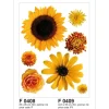 Sanders & Sanders Wandtattoo Blumen Gelb 65 x 85 cm 600251