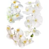 Sanders & Sanders Wandtattoo Blumen Weiß 65 x 85 cm 600283