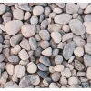 Scherf Flusskiesel Grau-Beige 16-32 mm 25 kg PE-Sack