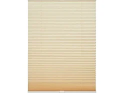 Schöner Wohnen Plissee Milla 70 cm x 130 cm Beige
