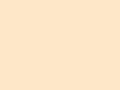 Schöner Wohnen Trendfarbe Cashmere matt 5 l