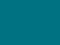 Schöner Wohnen Trendfarbe Lagune matt 1 l