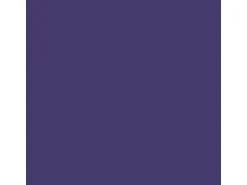 Schöner Wohnen Voll- und Abtönfarbe Violett 125 ml