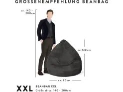 Sitting Point Sitzsack Brava BeanBag 300 l Grau
