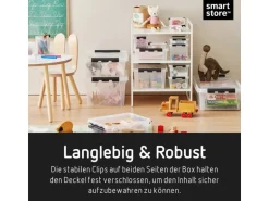 SmartStore Aufbewahrungsbox Classic mit Deckel 52 l