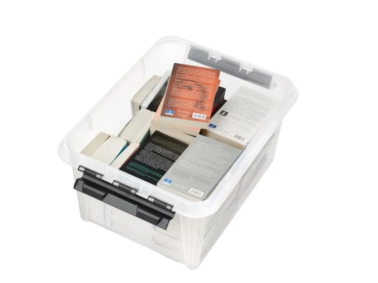 SmartStore Aufbewahrungsbox Classic mit Deckel 31 l