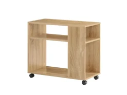 SoBuy Beistelltisch mit Rollen Couchtisch mit Ablagefächern Druckerregal FBT34-N