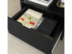 SoBuy Beistelltisch Nachttisch Nachtschrank mit 2 Schubladen Schwarz FRG258-SCH