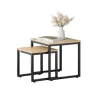 SoBuy 2er Set Couchtisch Beistelltisch Sofatisch Kaffeetisch Natur FBT42-N