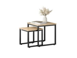 SoBuy 2er Set Couchtisch Beistelltisch Sofatisch Kaffeetisch Natur FBT42-N