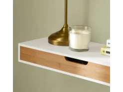 SoBuy Wandschrank Hängeschrank Wandgarderobe mit Schublade FRG93-WN