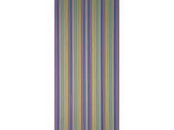 Streifenvorhang Brilliant Bunt 90 cm x 200 cm