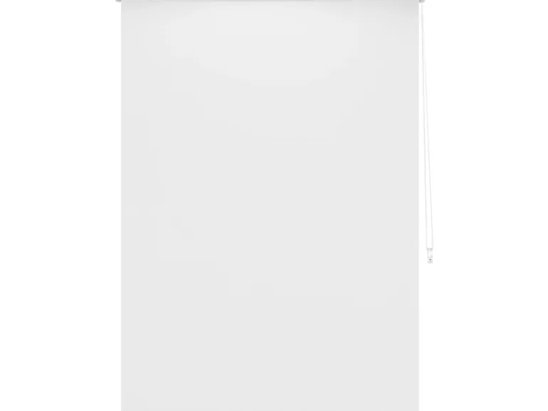 Tageslicht-Rollo Zamora 120 cm x 175 cm Weiß