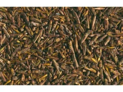 Tetra Ergänzungsfuttermittel ReptoDelica Grasshoppers 250 ml