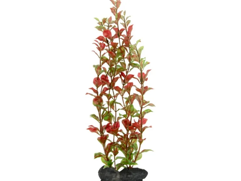 Tetra Kunstpflanze DecoArt Plant L Red Ludwigia