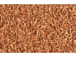 Tetra Reptilienfutter ReptoDelica Shrimps 1 l