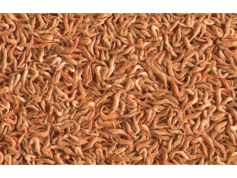 Tetra Reptilienfutter ReptoDelica Shrimps 1 l