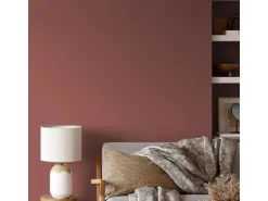 V&CO Premium-Innenfarbe Dead Flat Matt Rot Farbton 1 Altrosa 2,5 l