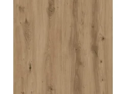 vidaXL Bücherregal Artisan-Eiche 60x24x143 cm Holzwerkstoff 857820