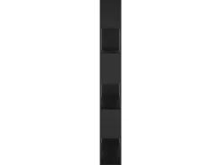 vidaXL Bücherregal Raumteiler Schwarz 100x24x188 cm