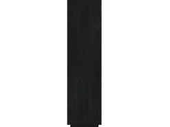 vidaXL Bücherregal/Raumteiler Schwarz 40x35x135 cm Massivholz Kiefer