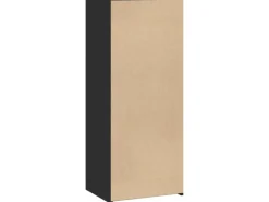 vidaXL Highboard Schwarz 50x41x124 cm Holzwerkstoff 846398