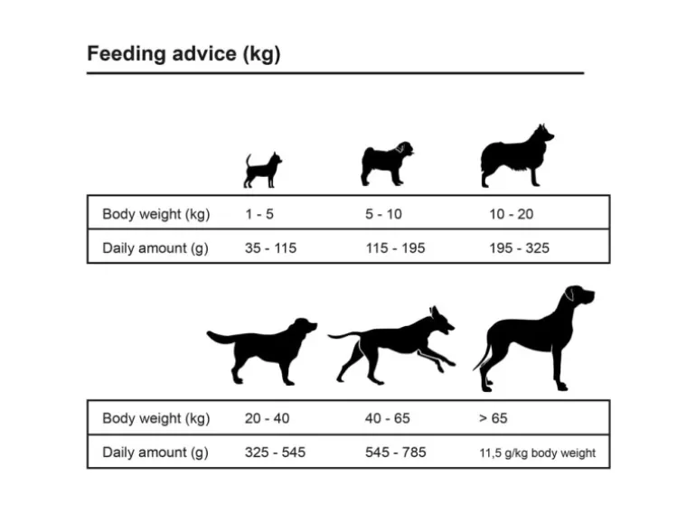 vidaXL Trockenfutter für Hunde Adult Sensitive Lamb & Rice 15 kg 170491