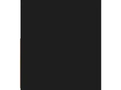 vidaXL TV-Schrank mit LED-Beleuchtung Schwarz 90x35x40 cm