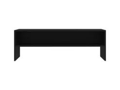 vidaXL TV-Schrank Schwarz 120x40x40 cm Holzwerkstoff