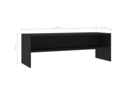 vidaXL TV-Schrank Schwarz 120x40x40 cm Holzwerkstoff