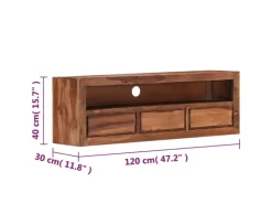 vidaXL TV-Schrank 120x30x40 cm Massivholz Palisander Modell 2
