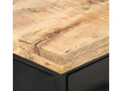 vidaXL TV-Schrank 90x30x41 cm Raues Mangoholz