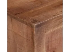 vidaXL TV-Schrank 110x30x40 cm Raues Mangoholz Modell 1